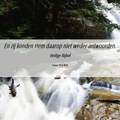 Picture 06 - Lukas 14:6 NLD - En zij konden Hem daarop niet weder - Bible Verse Picture