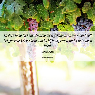 Picture 06 - Lukas 15:27 NLD - En deze zeide tot hem: Uw broeder is gekomen, en - Bible Verse Picture