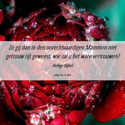 Picture 06 - Lukas 16:11 NLD - Zo gij dan in den onrechtvaardigen Mammon niet - Bible Verse Picture