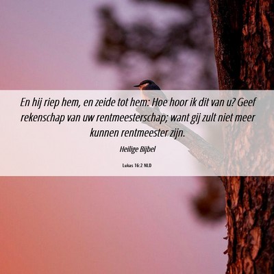Picture 06 - Lukas 16:2 NLD - En hij riep hem, en zeide tot hem: Hoe hoor ik - Bible Verse Picture