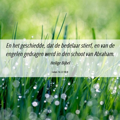 Picture 06 - Lukas 16:22 NLD - En het geschiedde, dat de bedelaar stierf, en van - Bible Verse Picture