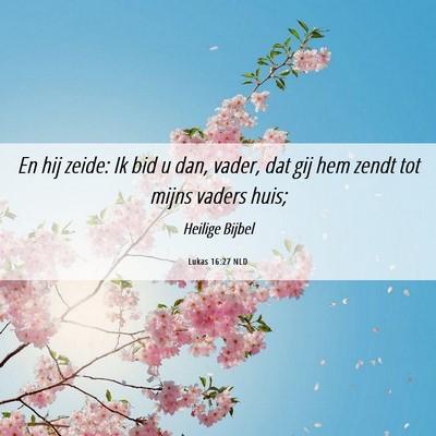 Picture 06 - Lukas 16:27 NLD - En hij zeide: Ik bid u dan, vader, dat gij hem - Bible Verse Picture