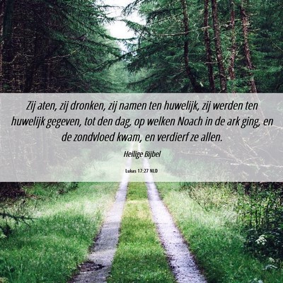 Picture 06 - Lukas 17:27 NLD - Zij aten, zij dronken, zij namen ten huwelijk, - Bible Verse Picture