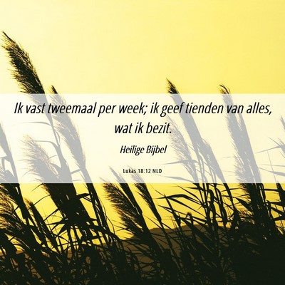 Picture 06 - Lukas 18:12 NLD - Ik vast tweemaal per week; ik geef tienden van - Bible Verse Picture