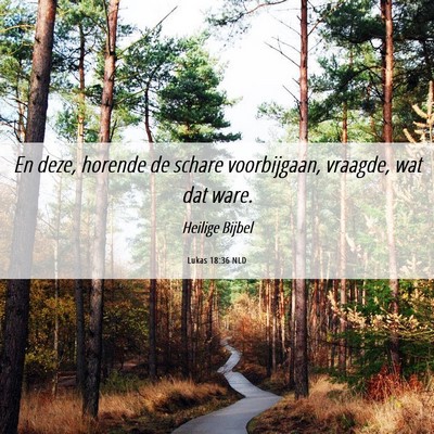 Picture 06 - Lukas 18:36 NLD - En deze, horende de schare voorbijgaan, vraagde, - Bible Verse Picture