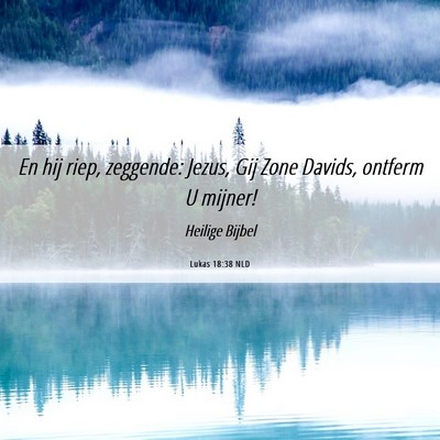 Picture 06 - Lukas 18:38 NLD - En hij riep, zeggende: Jezus, Gij Zone Davids, - Bible Verse Picture
