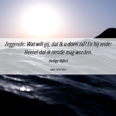 Picture 06 - Lukas 18:41 NLD - Zeggende: Wat wilt gij, dat Ik u doen zal? En hij - Bible Verse Picture