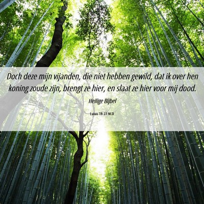 Picture 06 - Lukas 19:27 NLD - Doch deze mijn vijanden, die niet hebben gewild, - Bible Verse Picture