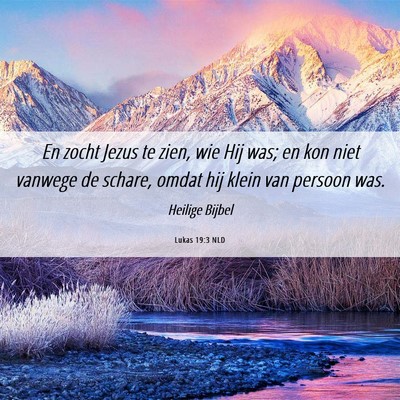 Picture 06 - Lukas 19:3 NLD - En zocht Jezus te zien, wie Hij was; en kon niet - Bible Verse Picture