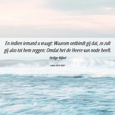 Picture 06 - Lukas 19:31 NLD - En indien iemand u vraagt: Waarom ontbindt gij - Bible Verse Picture