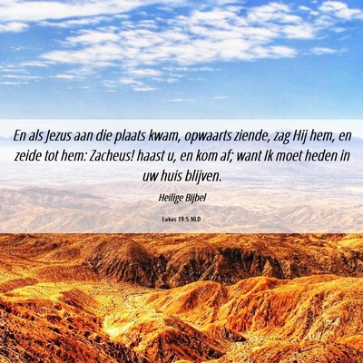Picture 06 - Lukas 19:5 NLD - En als Jezus aan die plaats kwam, opwaarts - Bible Verse Picture