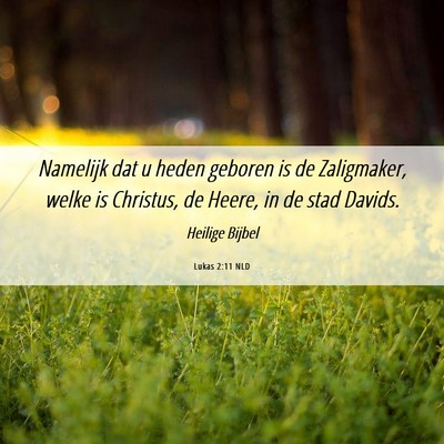 Picture 06 - Lukas 2:11 NLD - Namelijk dat u heden geboren is de Zaligmaker, - Bible Verse Picture