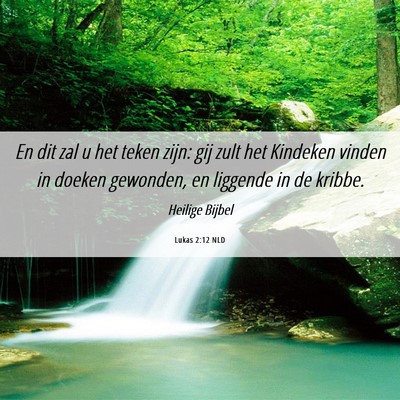 Picture 06 - Lukas 2:12 NLD - En dit zal u het teken zijn: gij zult het - Bible Verse Picture