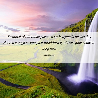 Picture 06 - Lukas 2:24 NLD - En opdat zij offerande gaven, naar hetgeen in de - Bible Verse Picture