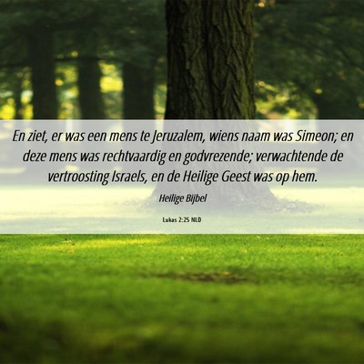 Picture 06 - Lukas 2:25 NLD - En ziet, er was een mens te Jeruzalem, wiens naam - Bible Verse Picture