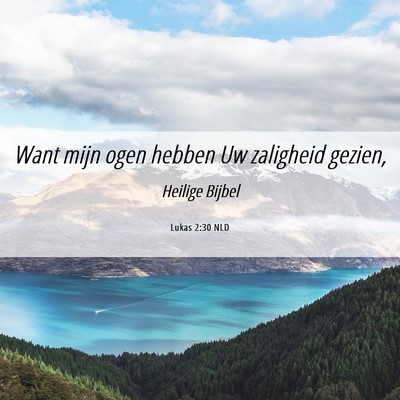 Picture 06 - Lukas 2:30 NLD - Want mijn ogen hebben Uw zaligheid - Bible Verse Picture