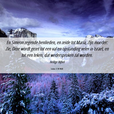 Picture 06 - Lukas 2:34 NLD - En Simeon zegende henlieden, en zeide tot Maria, - Bible Verse Picture