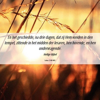 Picture 06 - Lukas 2:46 NLD - En het geschiedde, na drie dagen, dat zij Hem - Bible Verse Picture