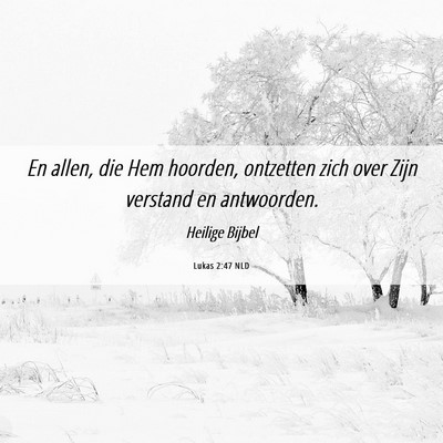 Picture 06 - Lukas 2:47 NLD - En allen, die Hem hoorden, ontzetten zich over - Bible Verse Picture