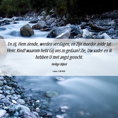 Picture 06 - Lukas 2:48 NLD - En zij, Hem ziende, werden verslagen; en Zijn - Bible Verse Picture