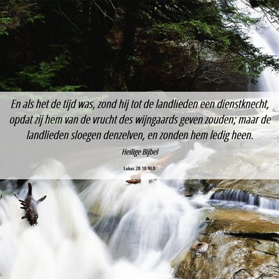 Picture 06 - Lukas 20:10 NLD - En als het de tijd was, zond hij tot de - Bible Verse Picture