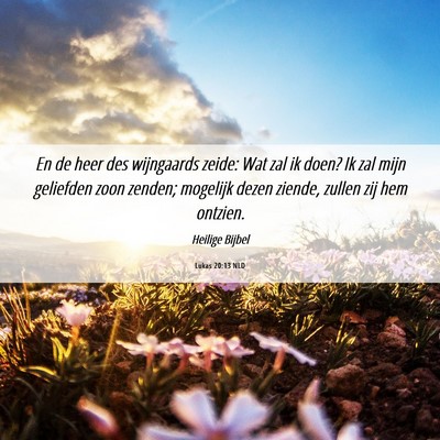 Picture 06 - Lukas 20:13 NLD - En de heer des wijngaards zeide: Wat zal ik doen? - Bible Verse Picture