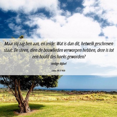 Picture 06 - Lukas 20:17 NLD - Maar Hij zag hen aan, en zeide: Wat is dan dit, - Bible Verse Picture