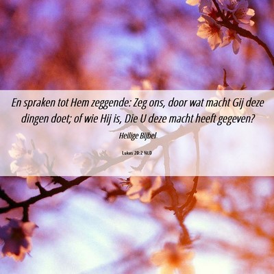 Picture 06 - Lukas 20:2 NLD - En spraken tot Hem zeggende: Zeg ons, door wat - Bible Verse Picture