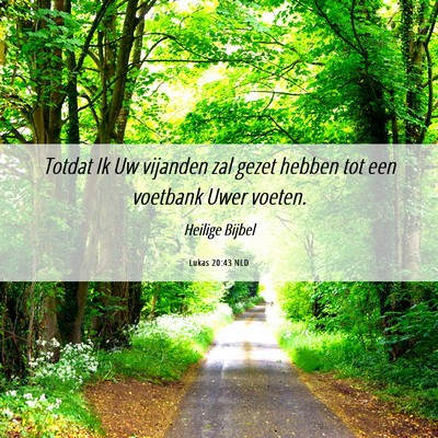 Picture 06 - Lukas 20:43 NLD - Totdat Ik Uw vijanden zal gezet hebben tot een - Bible Verse Picture