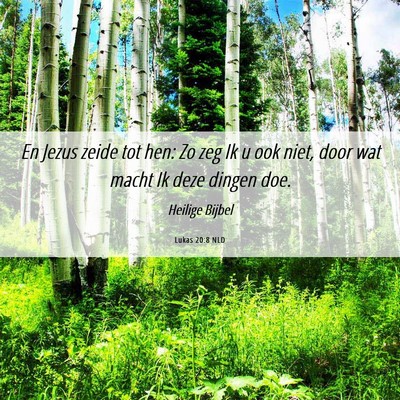 Picture 06 - Lukas 20:8 NLD - En Jezus zeide tot hen: Zo zeg Ik u ook niet, - Bible Verse Picture