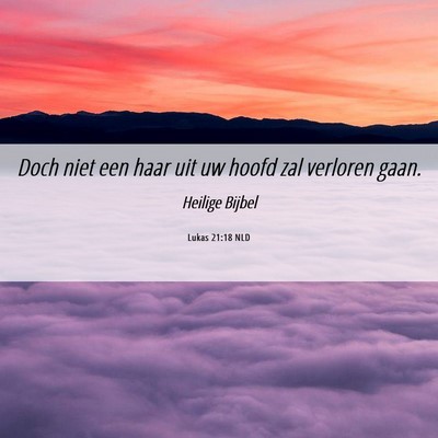 Picture 06 - Lukas 21:18 NLD - Doch niet een haar uit uw hoofd zal verloren - Bible Verse Picture