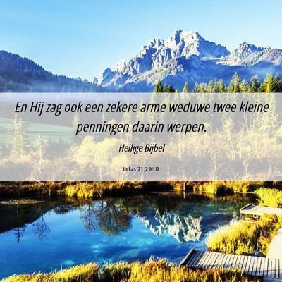 Picture 06 - Lukas 21:2 NLD - En Hij zag ook een zekere arme weduwe twee kleine - Bible Verse Picture