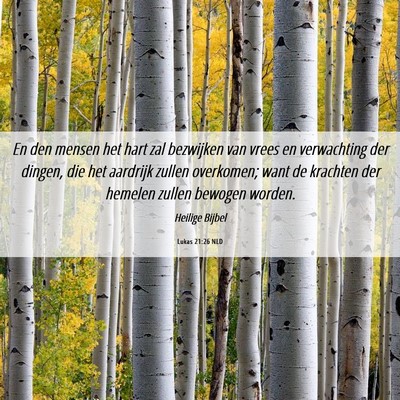 Picture 06 - Lukas 21:26 NLD - En den mensen het hart zal bezwijken van vrees en - Bible Verse Picture