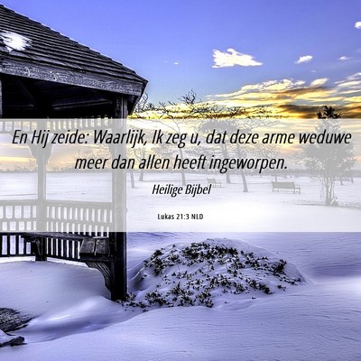 Picture 06 - Lukas 21:3 NLD - En Hij zeide: Waarlijk, Ik zeg u, dat deze arme - Bible Verse Picture