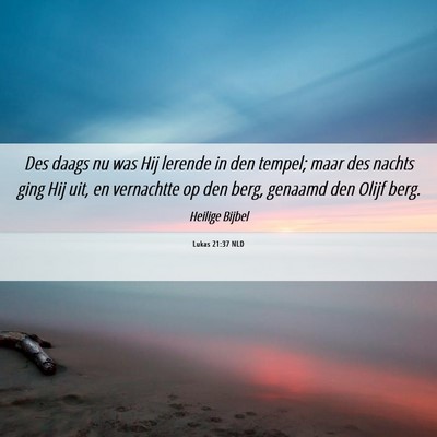 Picture 06 - Lukas 21:37 NLD - Des daags nu was Hij lerende in den tempel; maar - Bible Verse Picture