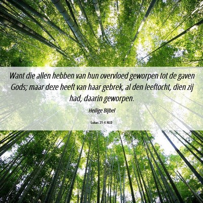 Picture 06 - Lukas 21:4 NLD - Want die allen hebben van hun overvloed geworpen - Bible Verse Picture