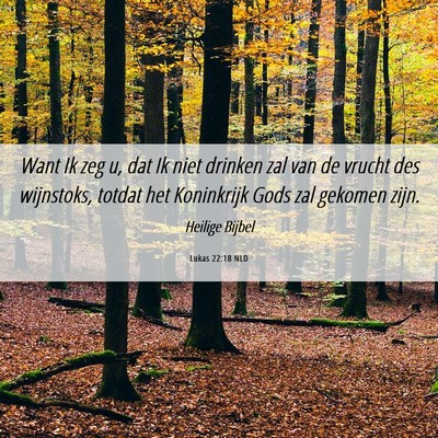 Picture 06 - Lukas 22:18 NLD - Want Ik zeg u, dat Ik niet drinken zal van de - Bible Verse Picture