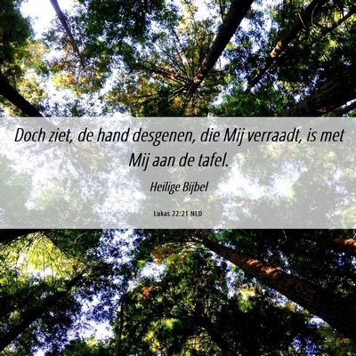 Picture 06 - Lukas 22:21 NLD - Doch ziet, de hand desgenen, die Mij verraadt, is - Bible Verse Picture