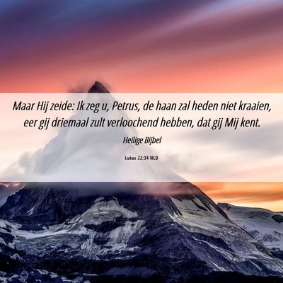Picture 06 - Lukas 22:34 NLD - Maar Hij zeide: Ik zeg u, Petrus, de haan zal - Bible Verse Picture