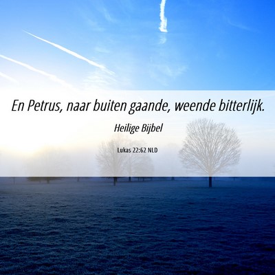 Picture 06 - Lukas 22:62 NLD - En Petrus, naar buiten gaande, weende - Bible Verse Picture