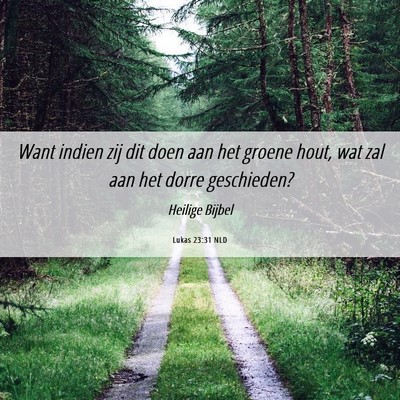 Picture 06 - Lukas 23:31 NLD - Want indien zij dit doen aan het groene hout, wat - Bible Verse Picture