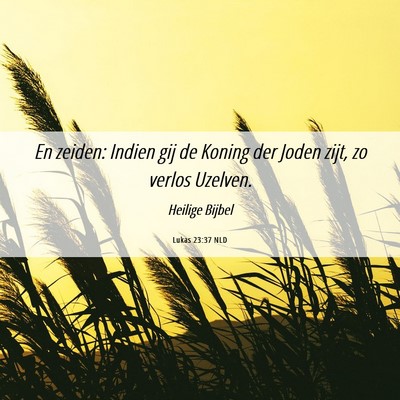 Picture 06 - Lukas 23:37 NLD - En zeiden: Indien gij de Koning der Joden zijt, - Bible Verse Picture