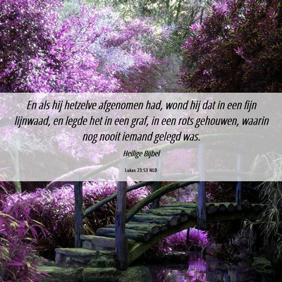 Picture 06 - Lukas 23:53 NLD - En als hij hetzelve afgenomen had, wond hij dat - Bible Verse Picture