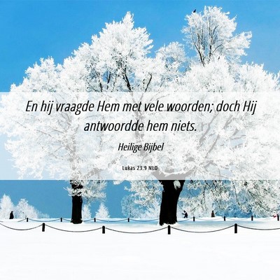 Picture 06 - Lukas 23:9 NLD - En hij vraagde Hem met vele woorden; doch Hij - Bible Verse Picture