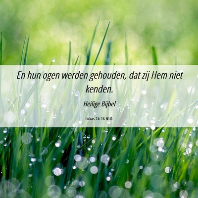 Picture 06 - Lukas 24:16 NLD - En hun ogen werden gehouden, dat zij Hem niet - Bible Verse Picture