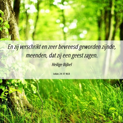 Picture 06 - Lukas 24:37 NLD - En zij verschrikt en zeer bevreesd geworden - Bible Verse Picture