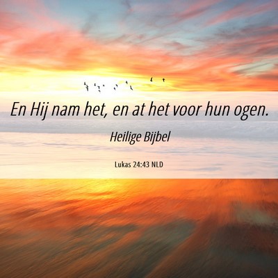 Picture 06 - Lukas 24:43 NLD - En Hij nam het, en at het voor hun - Bible Verse Picture