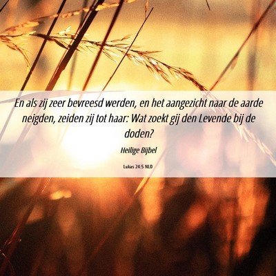 Picture 06 - Lukas 24:5 NLD - En als zij zeer bevreesd werden, en het - Bible Verse Picture