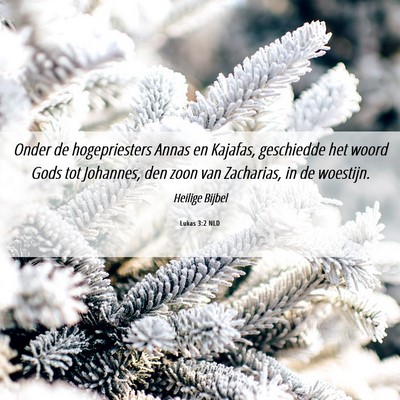 Picture 06 - Lukas 3:2 NLD - Onder de hogepriesters Annas en Kajafas, - Bible Verse Picture