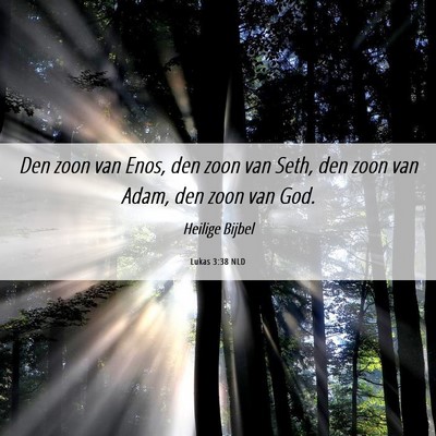 Picture 06 - Lukas 3:38 NLD - Den zoon van Enos, den zoon van Seth, den zoon - Bible Verse Picture